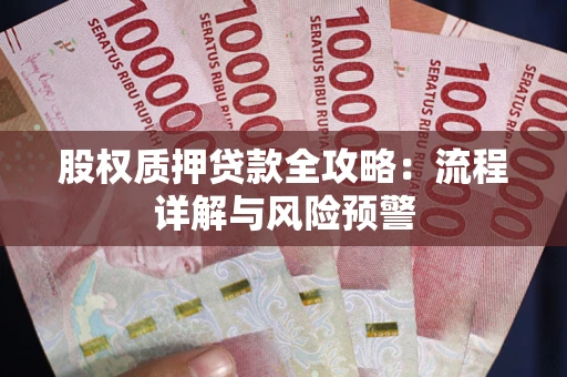 北京股权质押贷款全攻略：流程详解与风险预警
