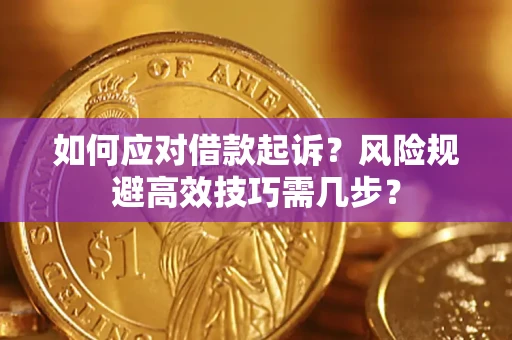北京如何应对借款起诉？风险规避高效技巧需几步？