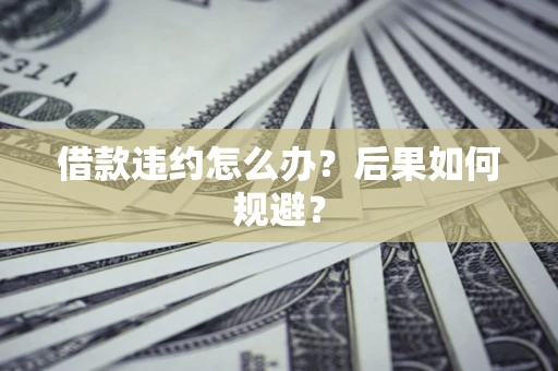 北京借款违约怎么办？后果如何规避？