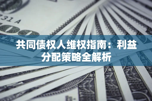 北京共同债权人维权指南：利益分配策略全解析
