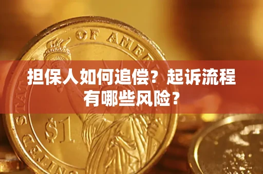 北京担保人如何追偿？起诉流程有哪些风险？