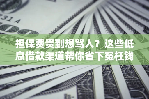 北京担保费贵到想骂人？这些低息借款渠道帮你省下冤枉钱
