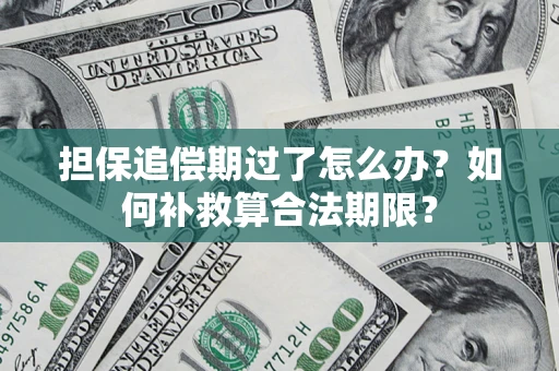 北京担保追偿期过了怎么办？如何补救算合法期限？