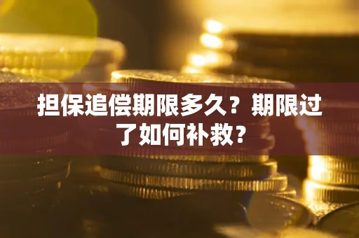 北京担保追偿期限多久？期限过了如何补救？