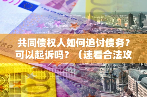 北京共同债权人如何追讨债务？可以起诉吗？（速看合法攻略）