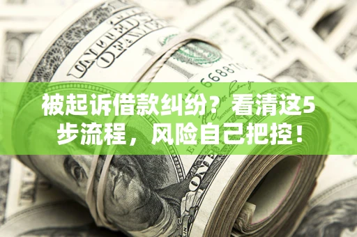 北京被起诉借款纠纷？看清这5步流程，风险自己把控！